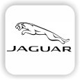 جگوار / Jaguar